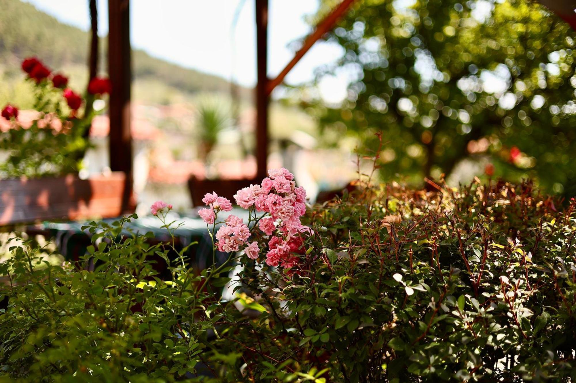 Iliikova House Hotel Kalofer Exterior photo
